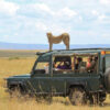 Safari en Africa