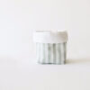 Costal Mini Menta