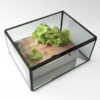 Caja Casilda