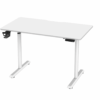 Standup Desk