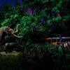 Zoologico Nocturno en Singapur