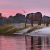 Aportación Luna de Miel en Botswana