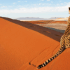 Aportación para Luna de Miel en Namibia