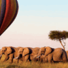 VUELO EN GLOBO EN EL SERENGETI