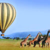 Safari en globo en Africa