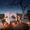 A Night Under the Stars @Sabi Sands