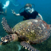 Buceo Koh Samui