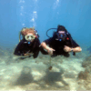 Certificado de buceo