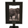 Canvas Paralelo Elefante