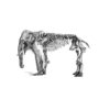 Cuadro Elefante sin marco