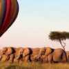 Serengeti Ballon Safari y auténtico desayuno en la selva