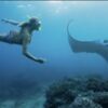 Nado con Mantarrayas en Bali