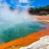 1 Noche en rotorua