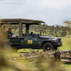Safari en el Masai Mara, Kenya