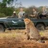 Safari en Sabi Sands