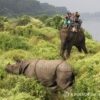 Safari Narayani