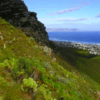 Frenkloof Guided Walks - Cape Town