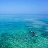 Snorkeling