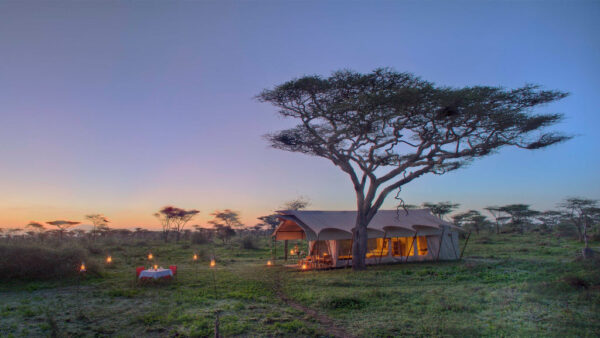 Serengeti Camp
