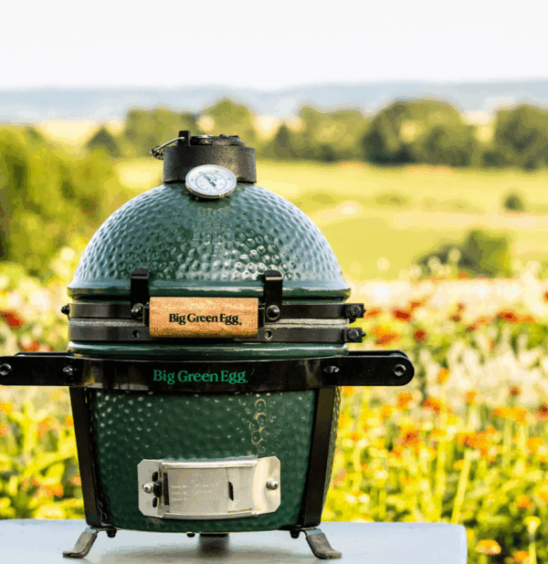Mini Big Green Egg