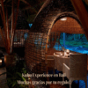 Kubu Experience