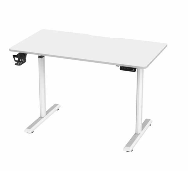 Standup Desk