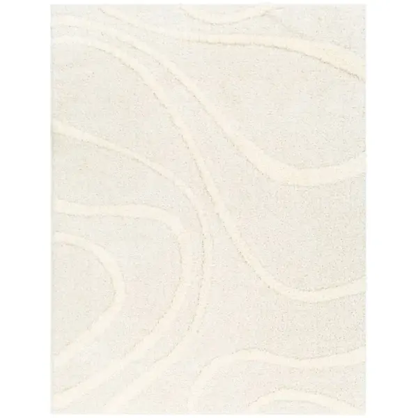 Ailey Machine Woven Shag Rug