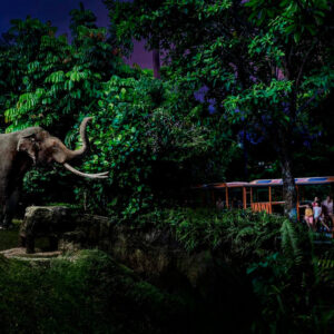 Zoologico Nocturno en Singapur