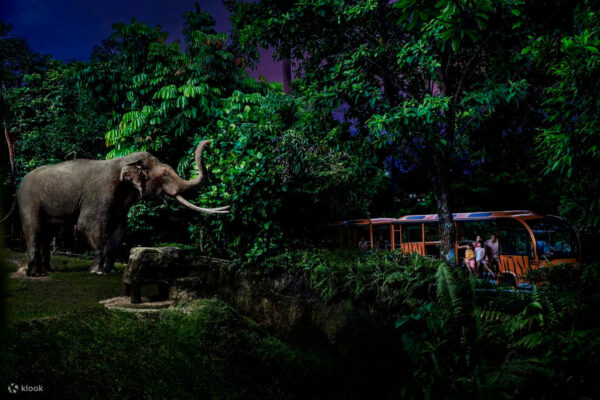 Zoologico Nocturno en Singapur