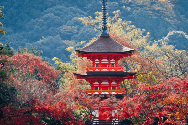 Hotel en Kyoto