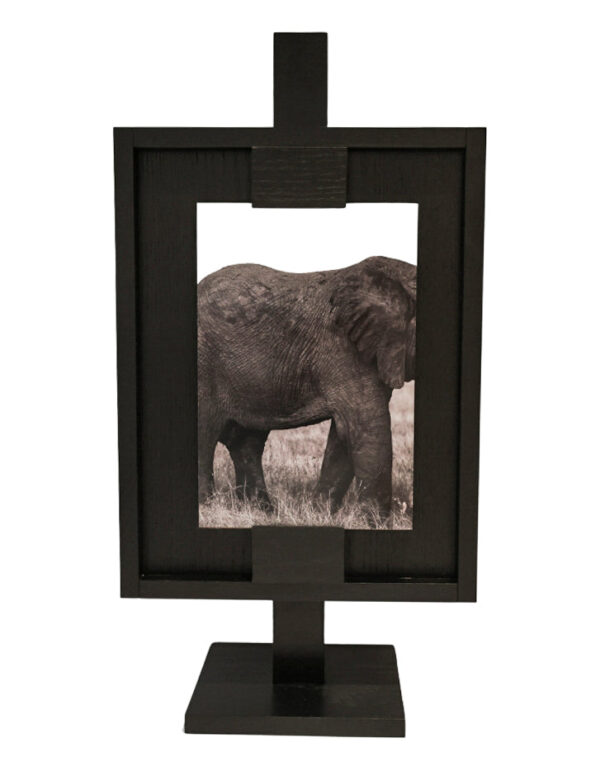 Canvas Paralelo Elefante