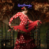 Espectáculo Flamenco en Torres Bermejas, España.