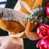 Tour Gastronómico en Paris