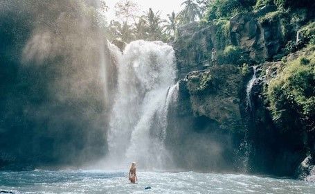 Tour privado a las cascadas de Bali